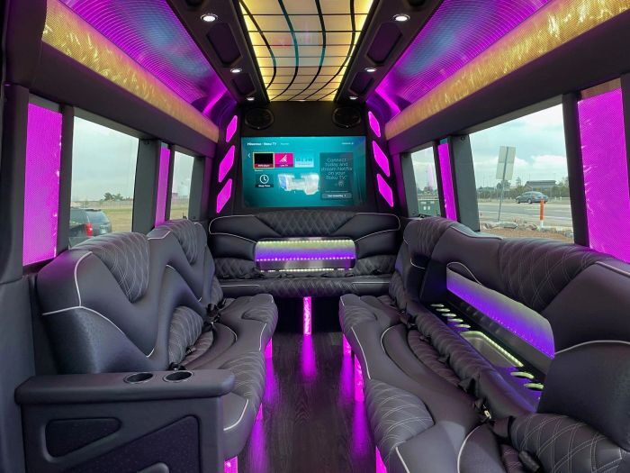 Sprinter limo lounge with TV – Edwards limo service