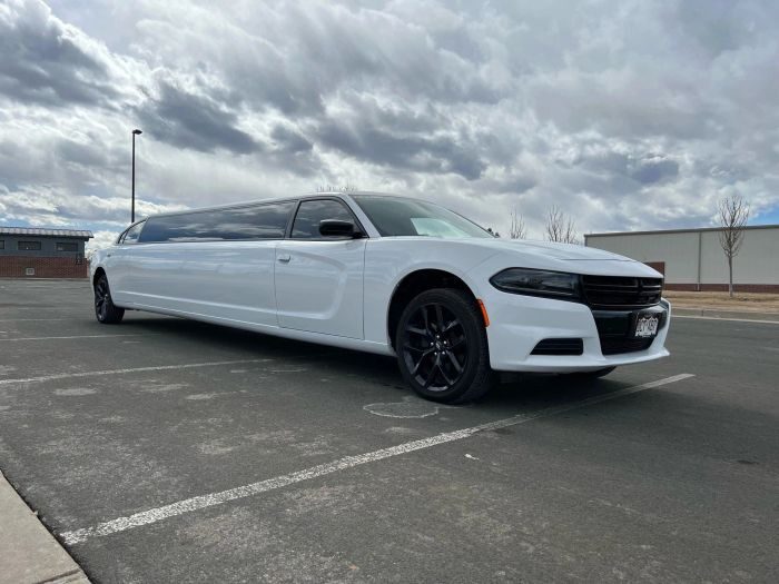 White stretch limo – Edwards limo service